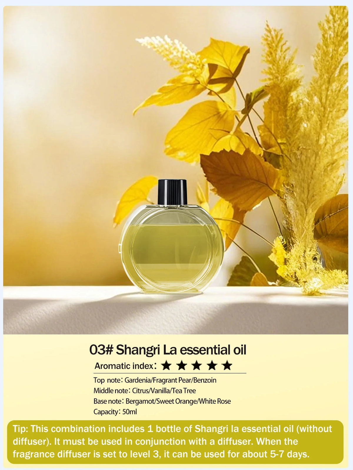 Diffuseur Automatique Rechargeable – Ultrasonique, Minuterie, Aromathérapie