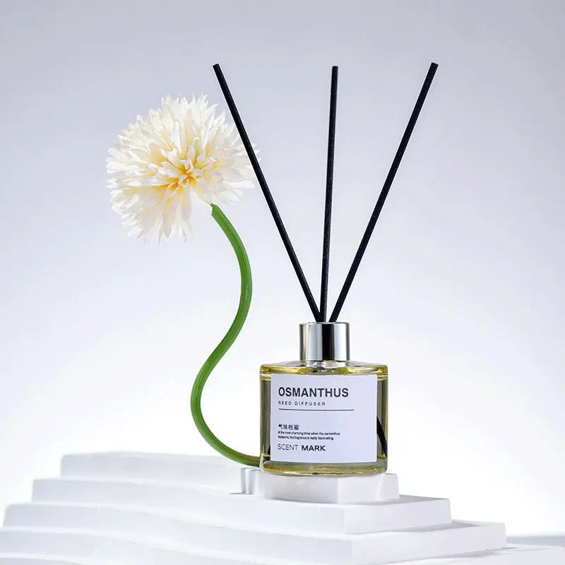 Reed Diffuser Set 50 ml – Essential Oil, 25 cm Reeds, Home Aromatherapy
