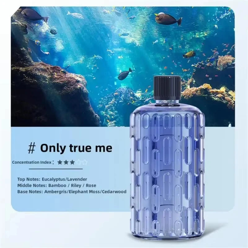 Rechargeable Ultrasonic Aromatherapy Diffuser and Oil – 5 Levels, Ambient Light